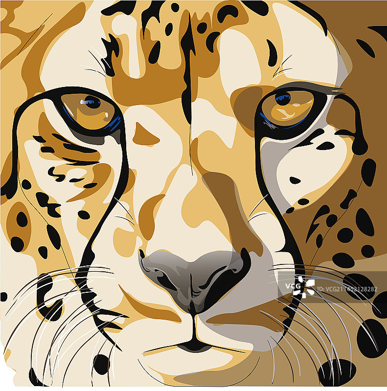 猎豹面部图片素材