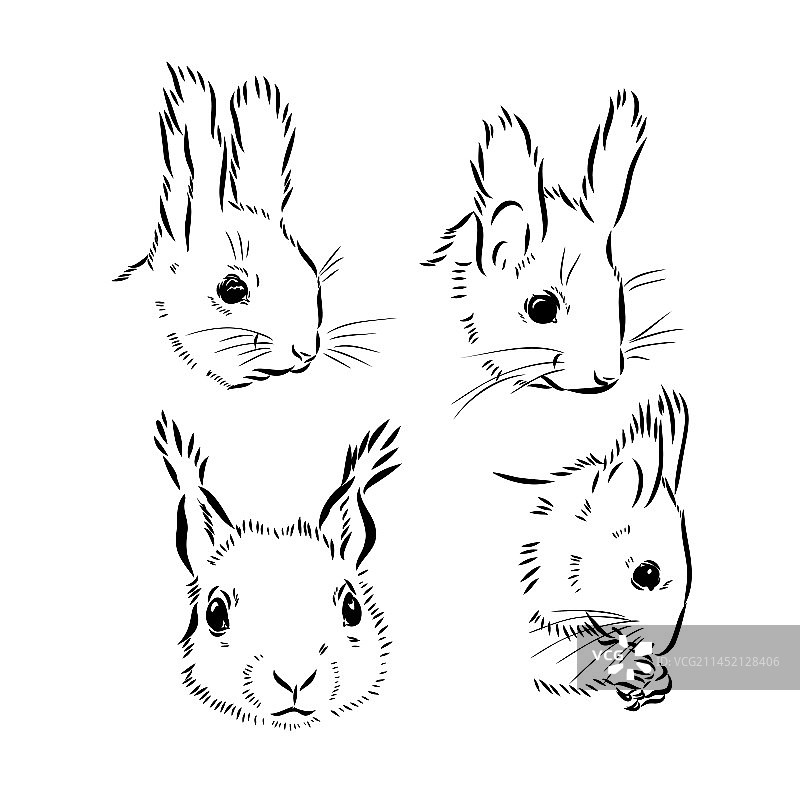 手绘松鼠复古动物图片素材