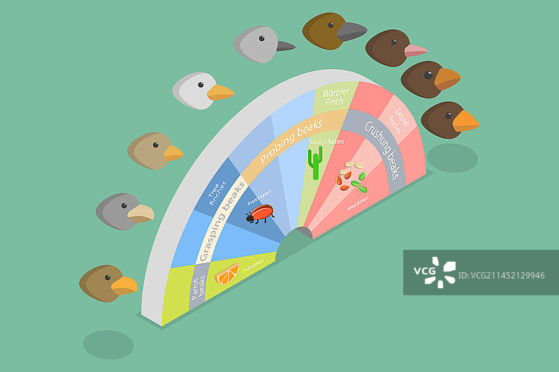 三维等距平面概念图片素材