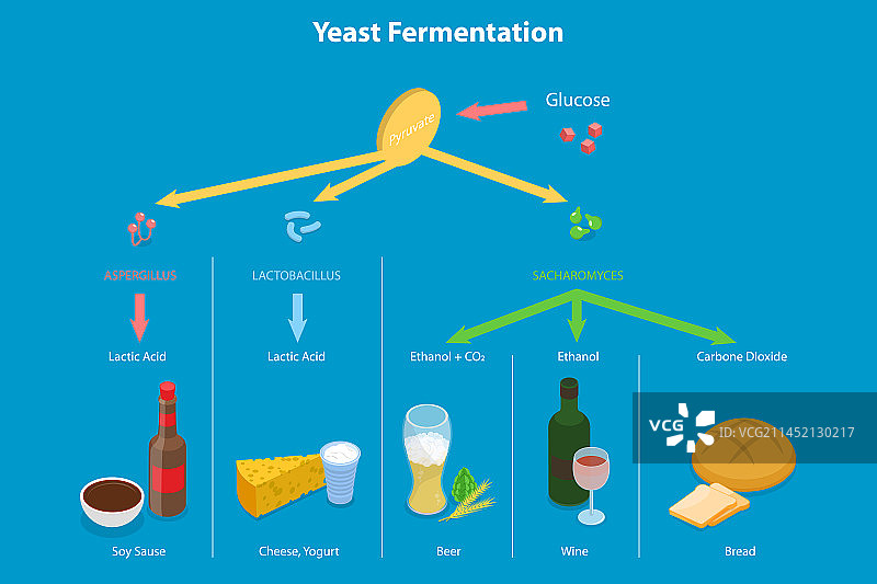 三维等距平面概念图片素材