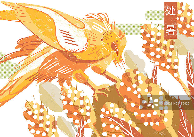 草丛中鹰展翅俯视图片素材