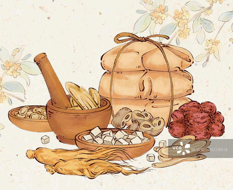 手绘传统中医中药材汤药插画图片素材