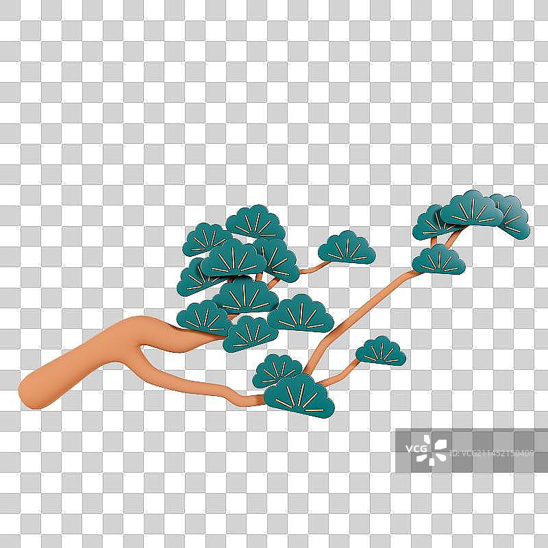 3D立体中国风松树树枝元素图片素材