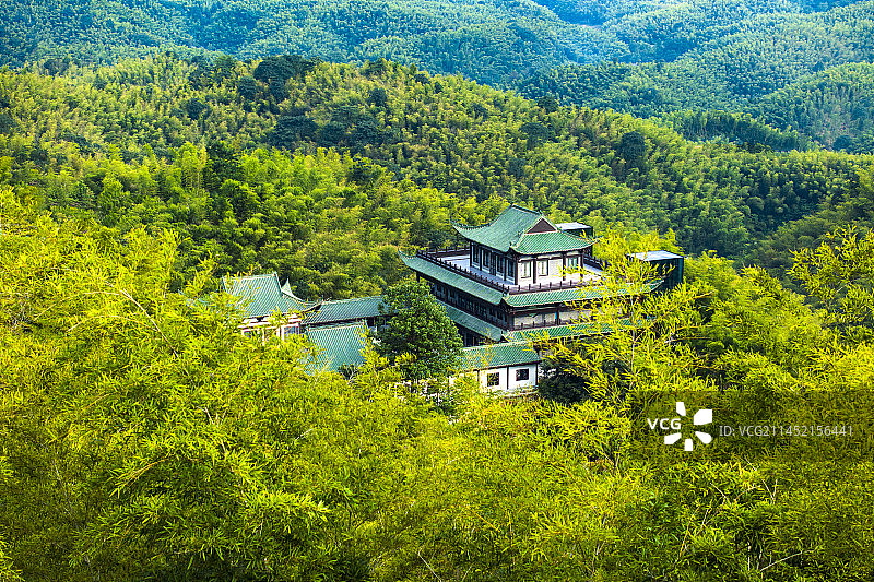 湖南 益阳  桃江 桃花江国家森林公园 桃花江竹海图片素材