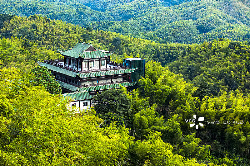 湖南 益阳  桃江 桃花江国家森林公园 桃花江竹海图片素材