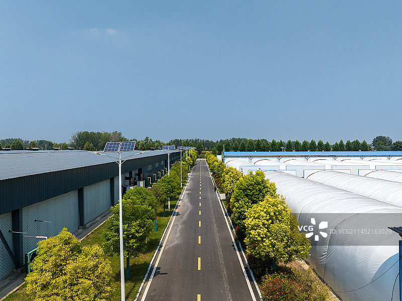 河南太康食用菌蘑菇育种培养种植基地图片素材