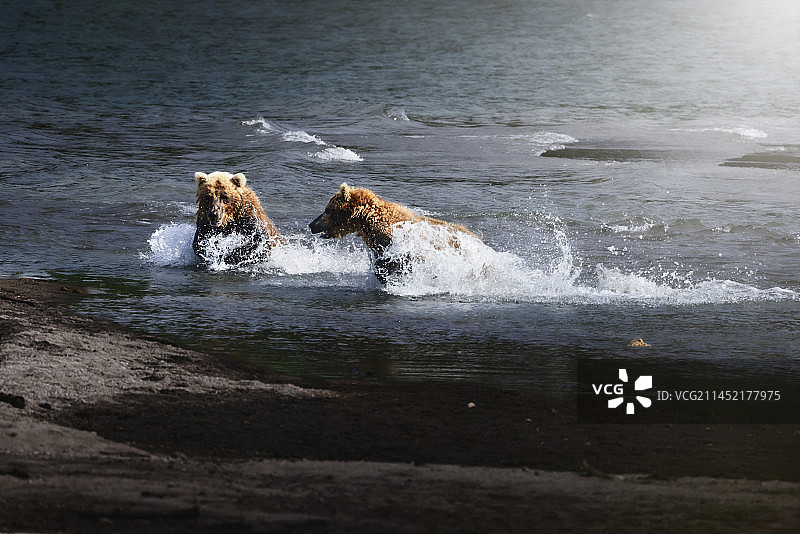 合作— 勘探加掠影（15）图片素材