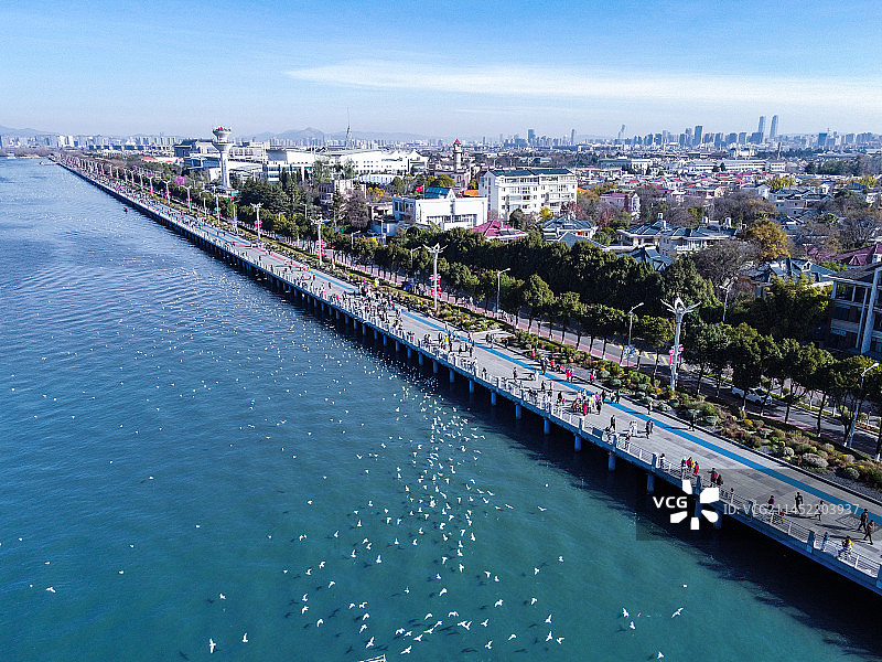 航拍云南昆明西山滇池海埂大坝海鸥图片素材
