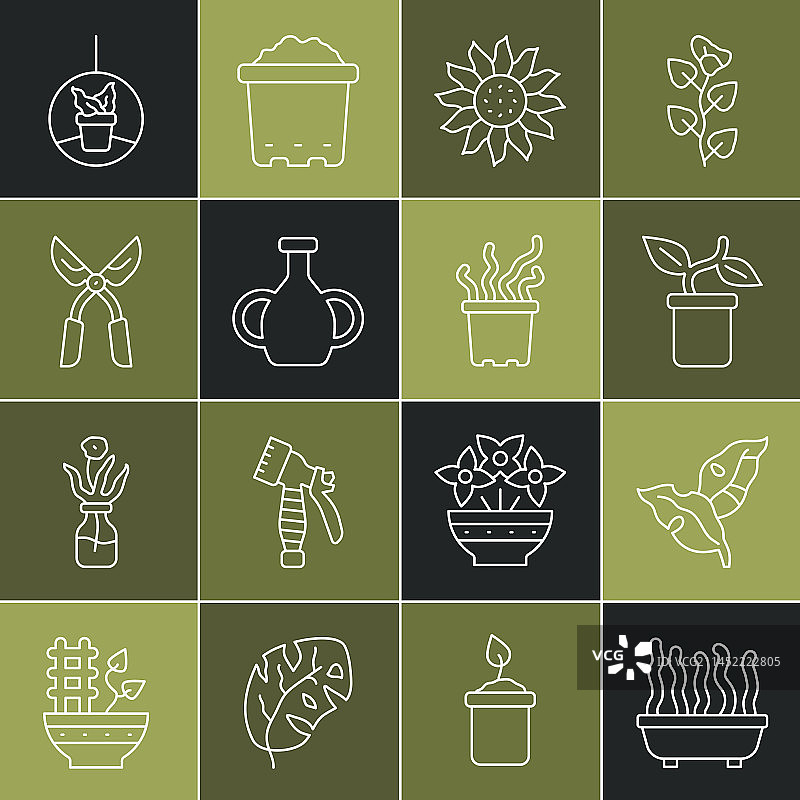 盆栽植物热带叶子花图片素材