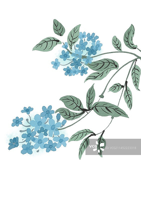 二十四节气古风水墨花朵-立秋蓝雪花图片素材