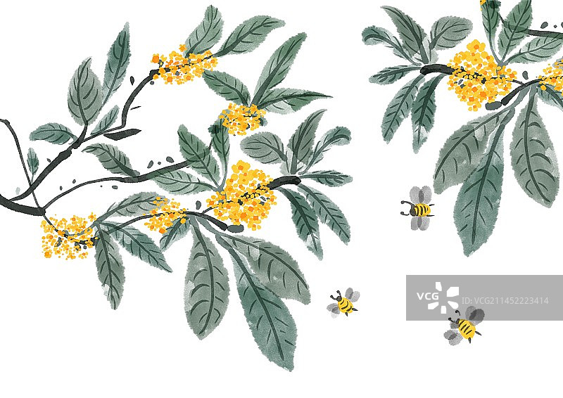 二十四节气古风水墨花朵图片素材