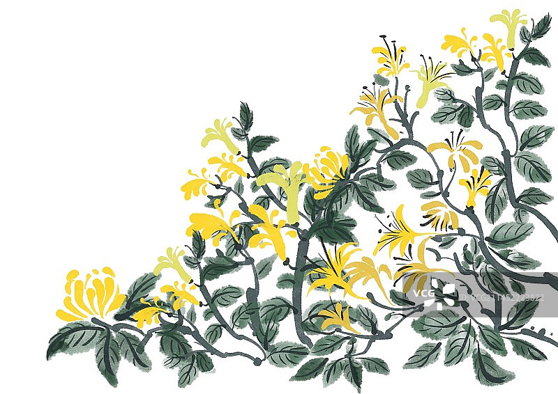 二十四节气古风水墨花朵-芒种金银花图片素材