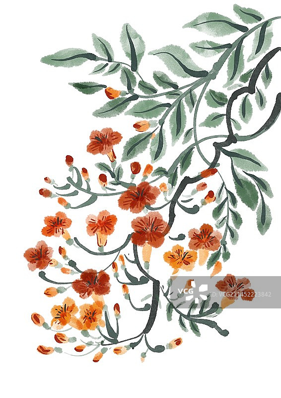 二十四节气古风水墨花朵-小暑凌霄花图片素材