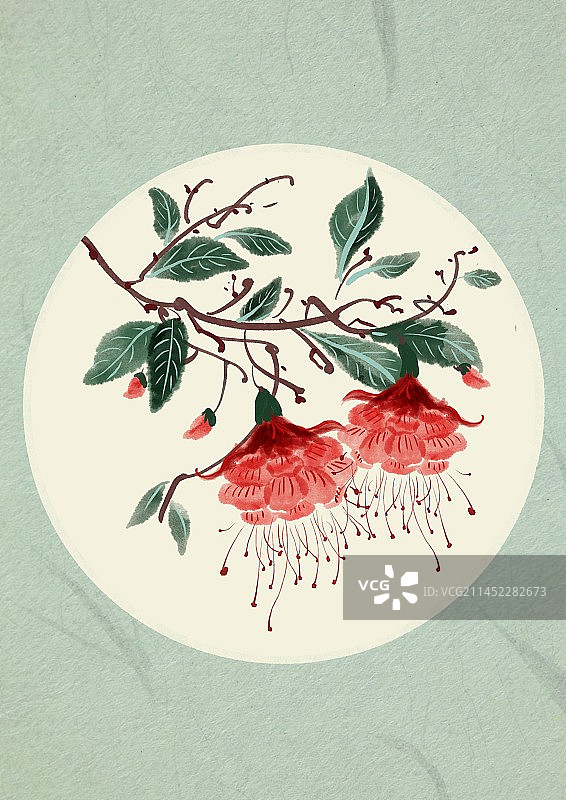 二十四节气古风水墨花卉-小雪灯笼花图片素材