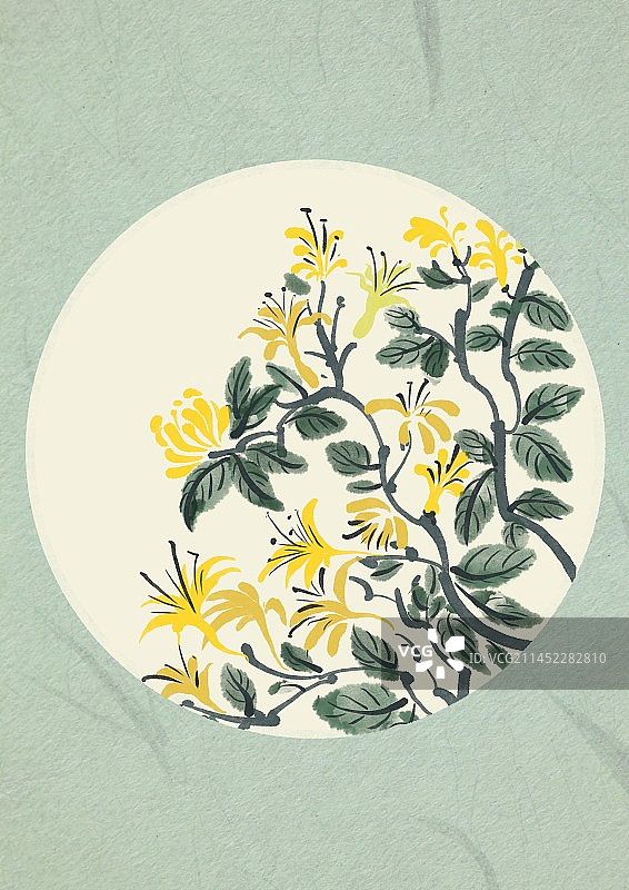 二十四节气古风水墨花卉-芒种金银花图片素材