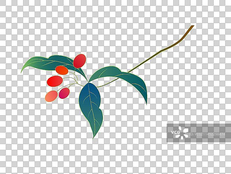 国潮风茱萸枸杞矢量元素图片素材