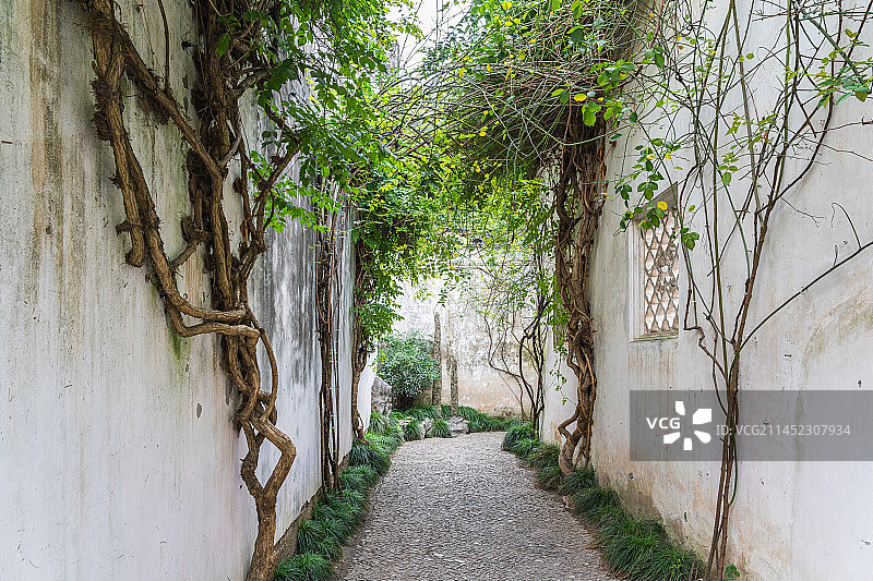 苏州园林艺圃图片素材