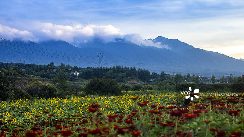 秦岭太白县花海图片素材