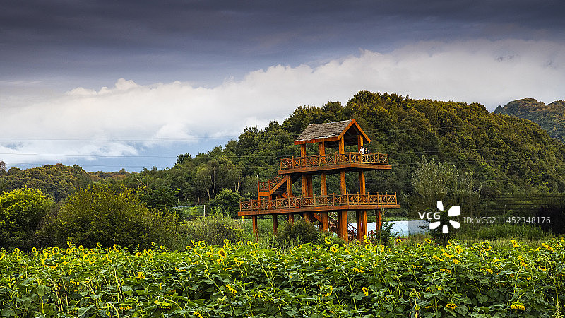 秦岭太白县花海图片素材