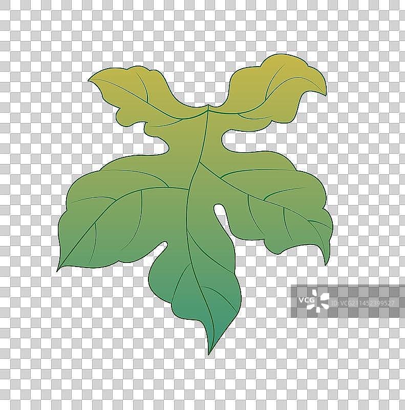 国潮风叶子矢量元素插画图片素材