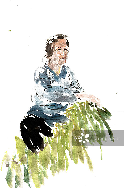 晾菜的老人图片素材