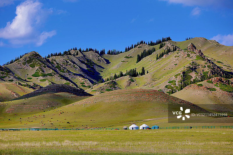 新疆 牧场 帐房，图片素材