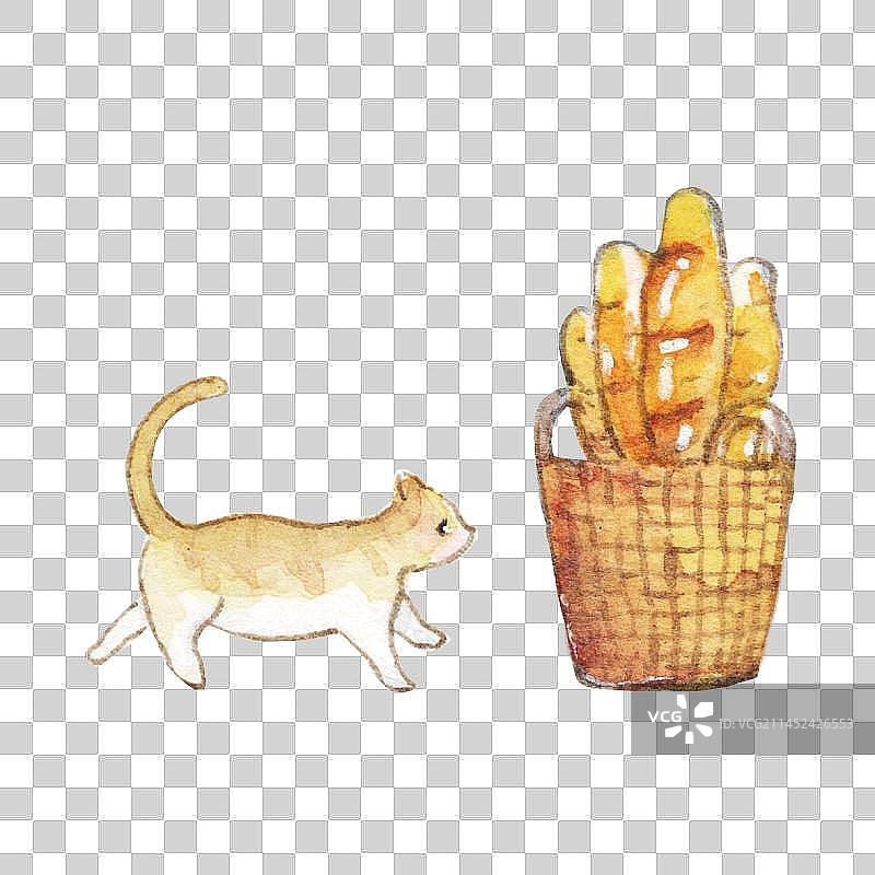 一只小橘猫和的有机面包食物特写镜头图片素材