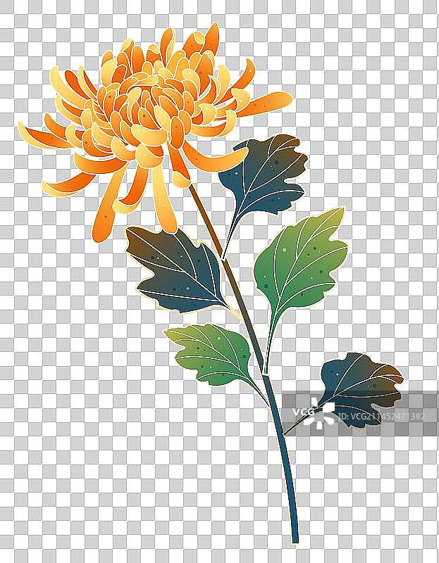 重阳节菊花花朵花瓣矢量元素图片素材