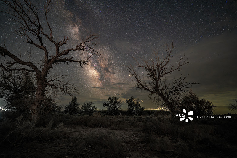 夜空中的田野风景图片素材