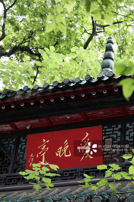 爱晚亭图片素材