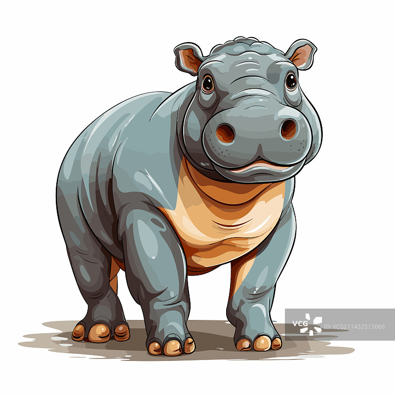 手绘河马可爱涂鸦图片素材