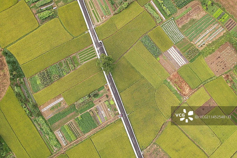 农业领域的高角度视角图片素材