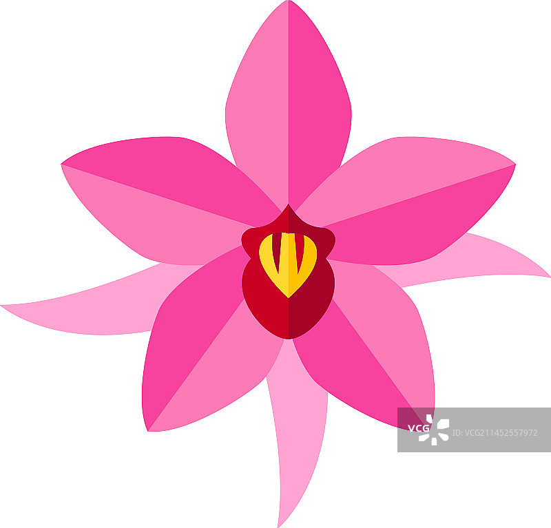 粉色巴西百合图标图片素材