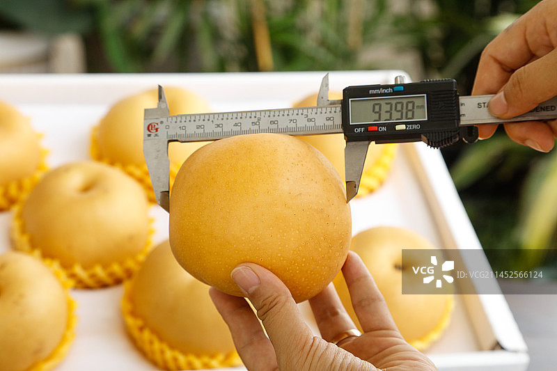 手里拿着一箱秋月梨图片素材