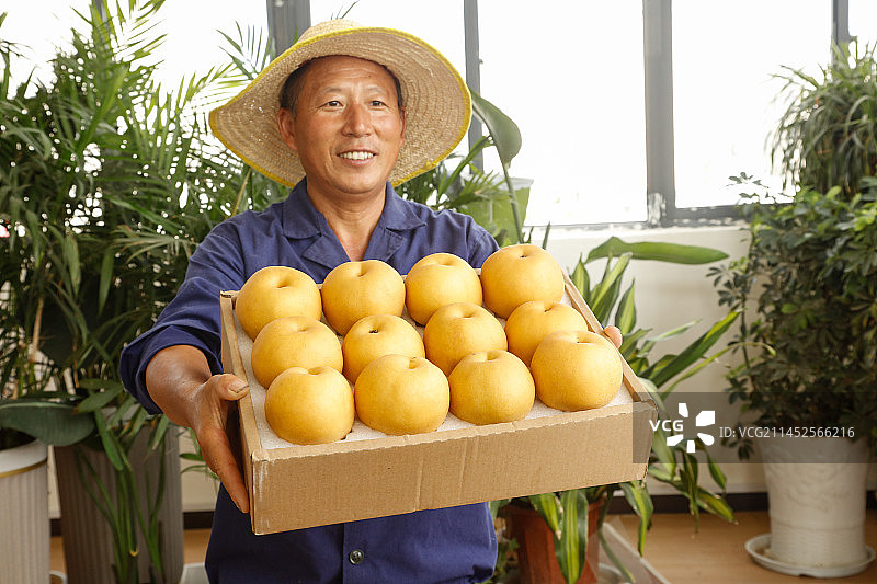 手里拿着一箱秋月梨图片素材