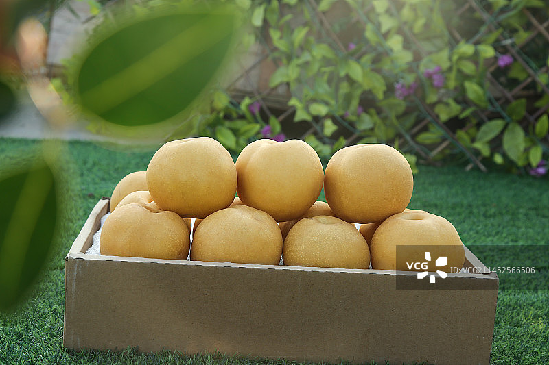 深底上的一盒秋月梨图片素材