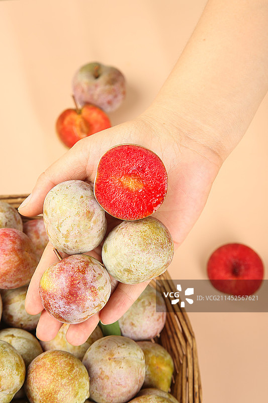 浅底上的芙蓉李图片素材