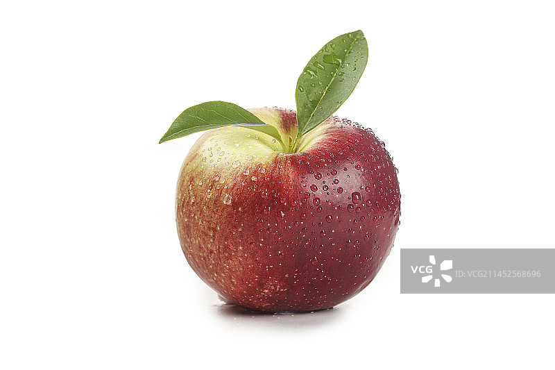 白底上的红露苹果图片素材