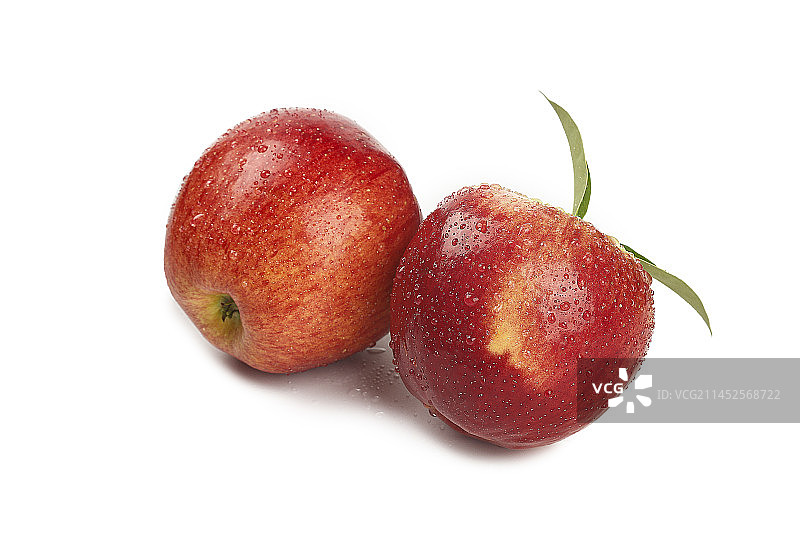 白底上的红露苹果图片素材