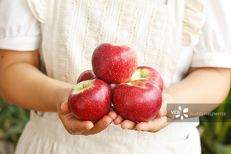 手里拿红露苹果图片素材