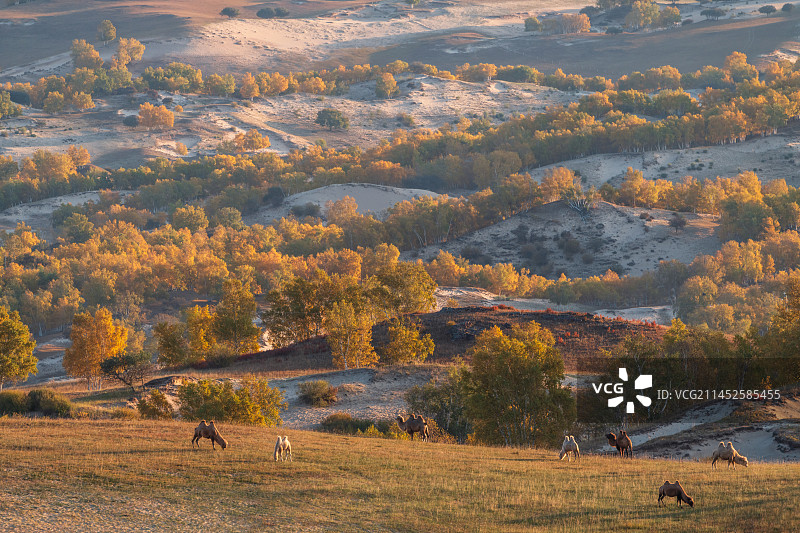 坝上草原乌兰布统景区敖包图秋季日出图片素材