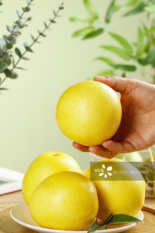 浅底上的南非橙柚图片素材