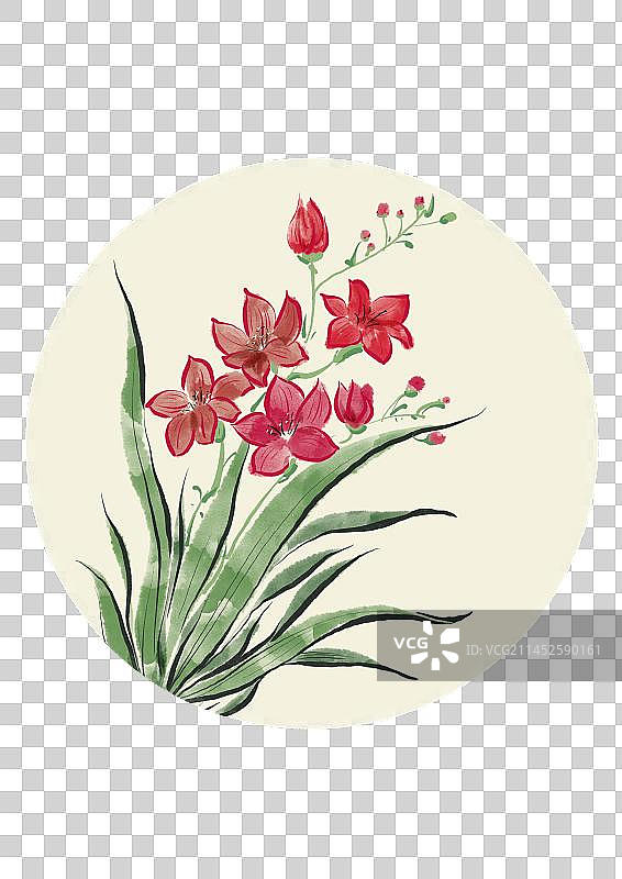 二十四节气古风花卉元素-大寒小苍兰图片素材