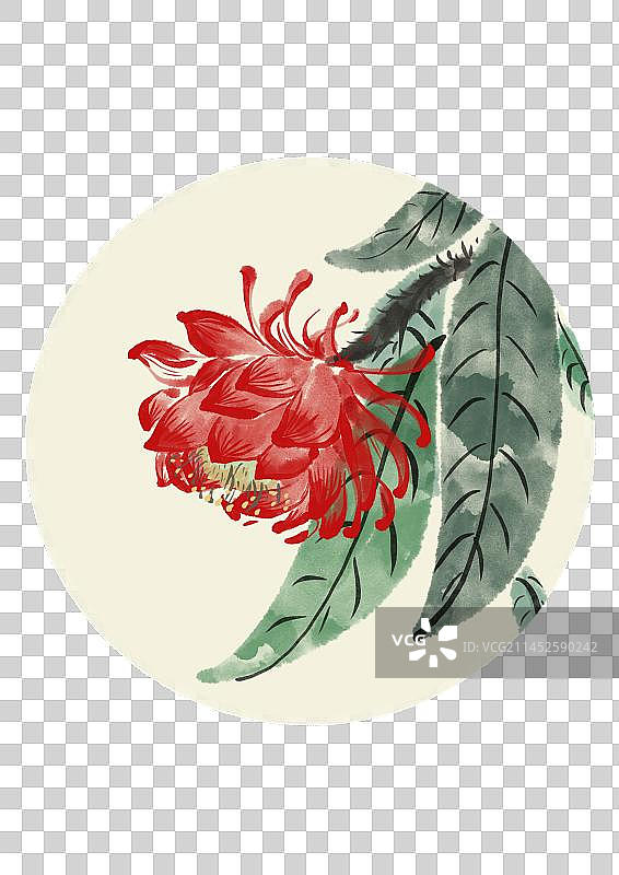 二十四节气古风花卉元素-白露昙花图片素材