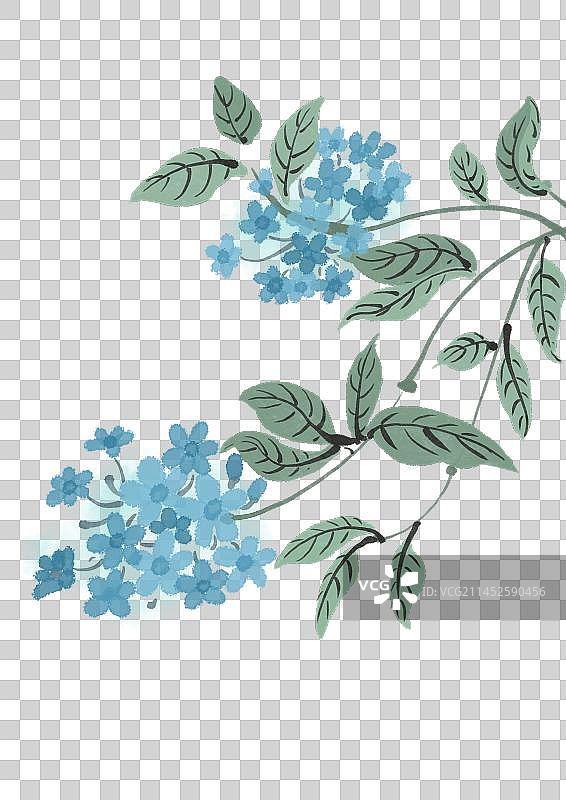 二十四节气古风花卉元素-立秋蓝雪花图片素材