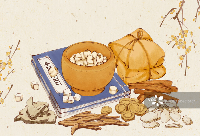 手绘传统中医中药材汤药插画图片素材