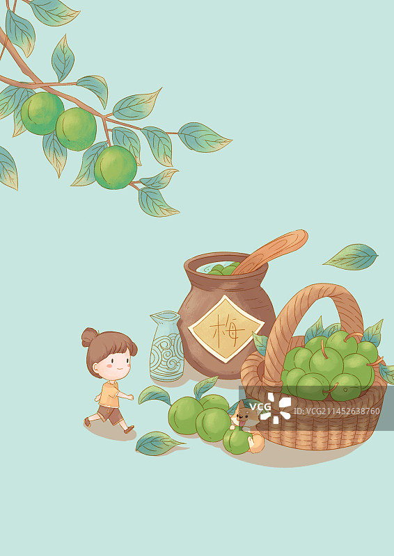 节气-芒种-青梅酒图片素材