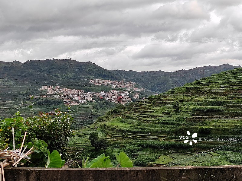 茶乡风云图片素材