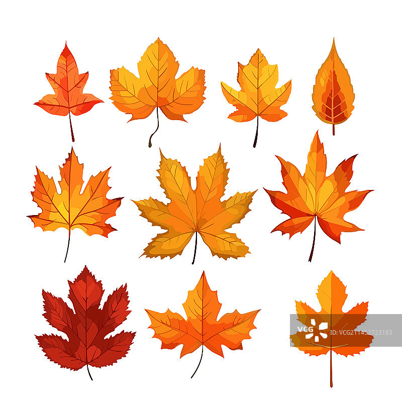 秋叶合集图片素材