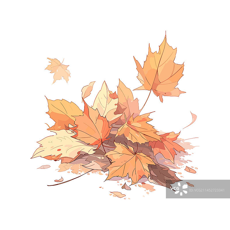 秋天的落叶图片素材